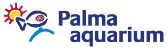  Codice Sconto Palma Aquarium