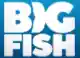  Codice Sconto Big Fish Games